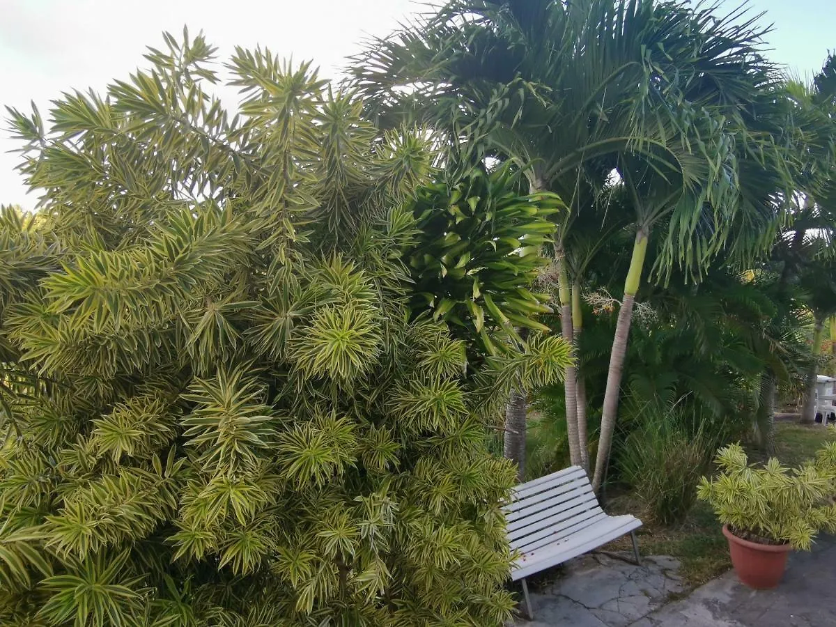 La Citronnelle Villa Sainte-Anne  Holiday home Sainte-Anne (Grande-Terre)